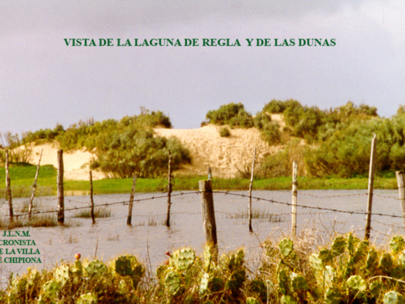 Las Lagunas de Chipiona