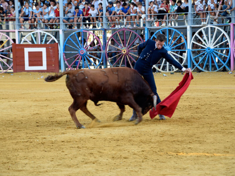 Comenzó las fiestas taurinas de la Algaba 2017