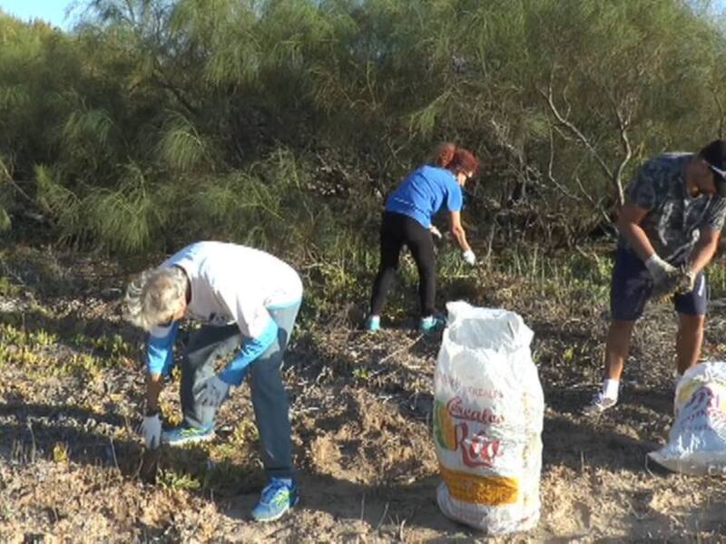 Eriphia muestra su satisfacción por la retirada de 1.100 kilos de uña de león en las jornadas de erradicación de flora invasora