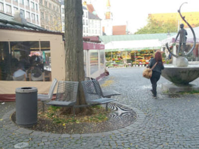 La importancia del correcto diseño de los alcorques que soportan el arbolado en los espacios públicos.