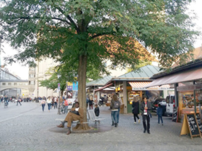 La caída de ramas de los árboles en Sevilla