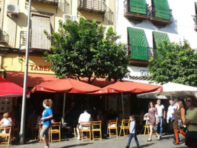 Abogamos por la convivencia del arbolado urbano y los veladores de bares y restaurantes