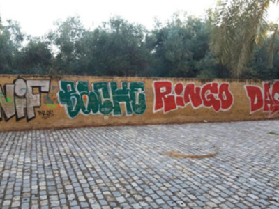 Brutal ataque al Conjunto Histórico de La Buhaira.