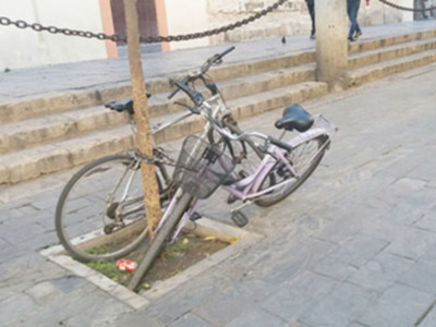 Bicicletas y árboles