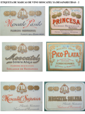 El vino moscatel de Chipiona
