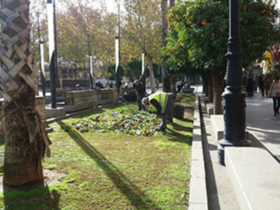 El Ayuntamiento de Sevilla realiza trabajos de mejora de parques y jardines