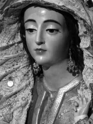 La Virgen de la Salud  Reina de La Costanillas.