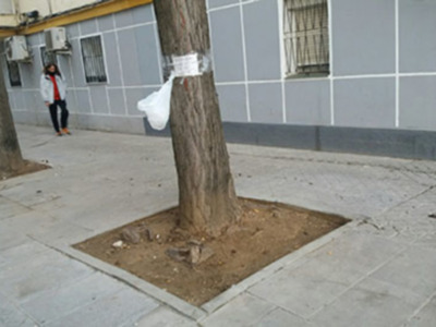 Los excrementos de perros un grave problema de higiene en muchas ciudades.