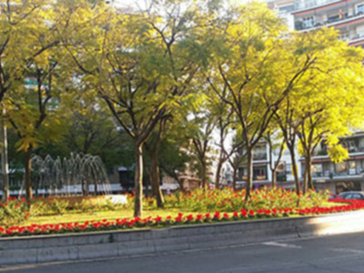 Sevilla se prepara para la llegada de la Primavera el gran momento de la ciudad.