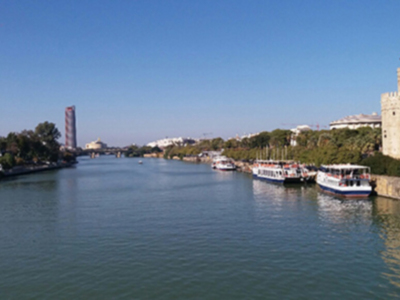 Salud y Medio AMbiente