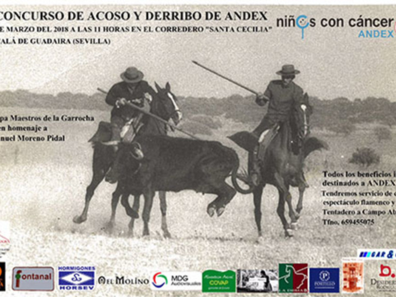 El mundo de la garrocha vuelve a mostrar su cara más solidaria el 10 de marzo con el V concurso de acoso y derribo a beneficio de Andex