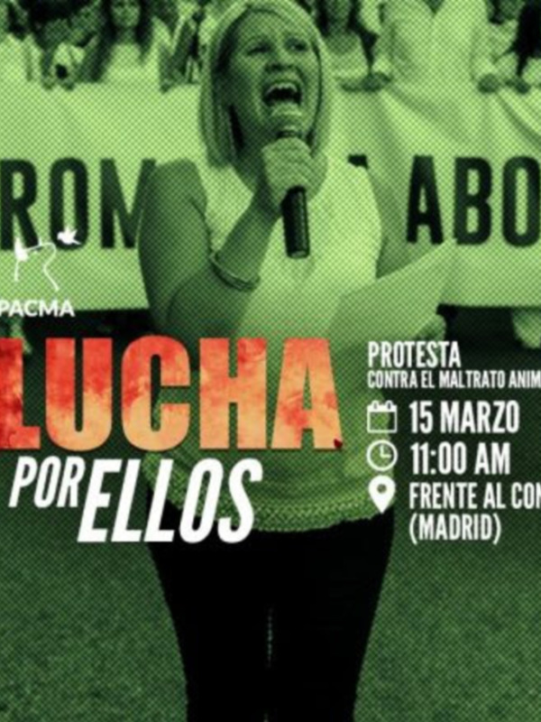 Creación de una Ley estatal de protección animal
