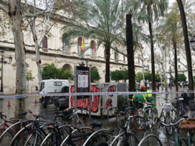 Se puede evitar la caída de árboles y palmeras ?