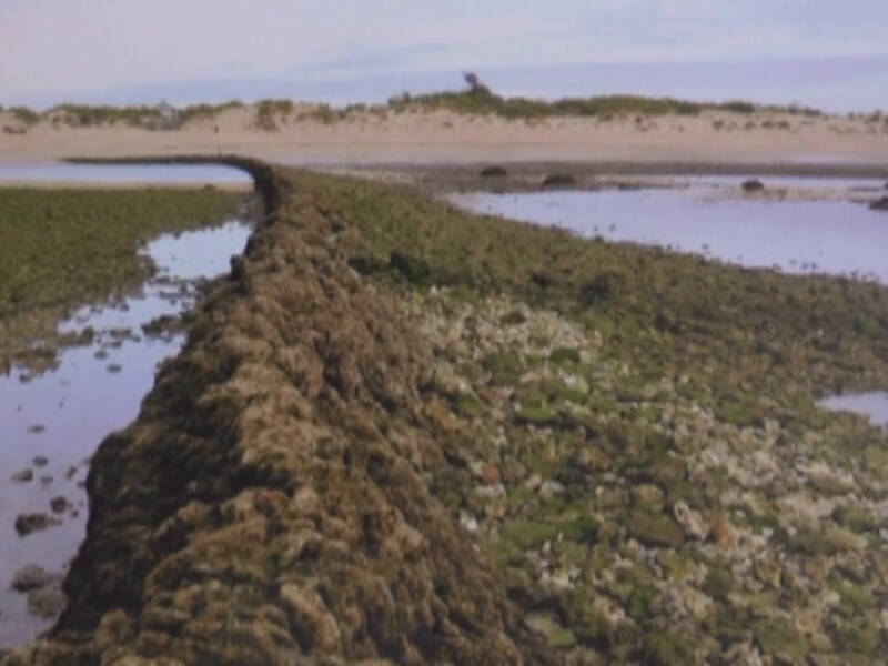 'Costa de la luz', la obra fotográfica de Paco Malia se muestra en El Chusco