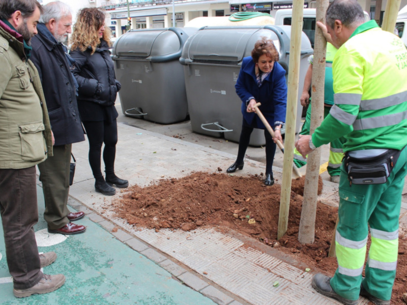 La campaña de plantación de árboles sigue por los distritos Los Remedios, San Pablo-Santa Justa y Nervión