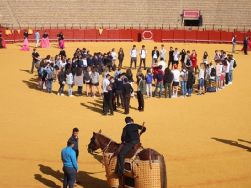 Escolares y universitarios aprenden a torear en el ruedo de la Maestranza