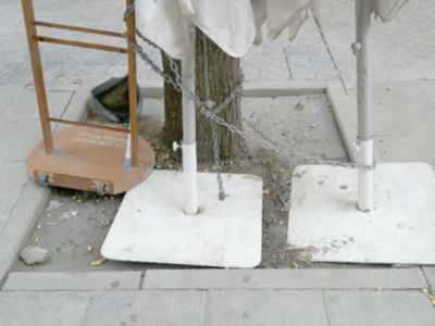 Acoso al arbolado en la calle