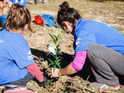Global Omnium crea "Bosques de agua" para reducir la huella de carbono donde gestiona el agua