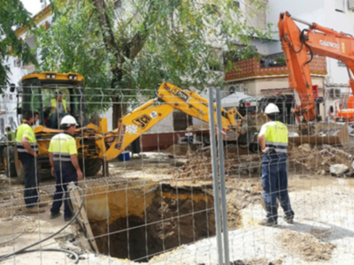Cómo afectan las obras en la vida del arbolado viario