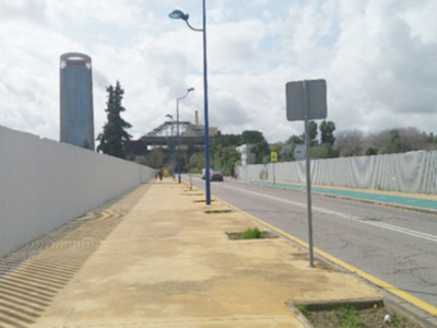 Por qué se mueren los árboles de nueva plantación?