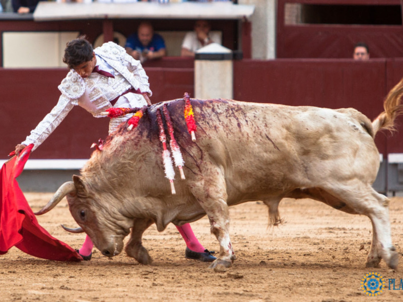 Luis David y un gran jabonero de Juan Pedro