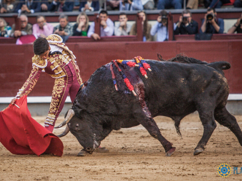 Luis David y Jesús Enrique Colombo dejan lo más destacado de la Corrida de las 6 Naciones