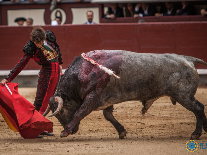 Robleño saluda ovación y Bolívar destaca al natural ante el buen sexto