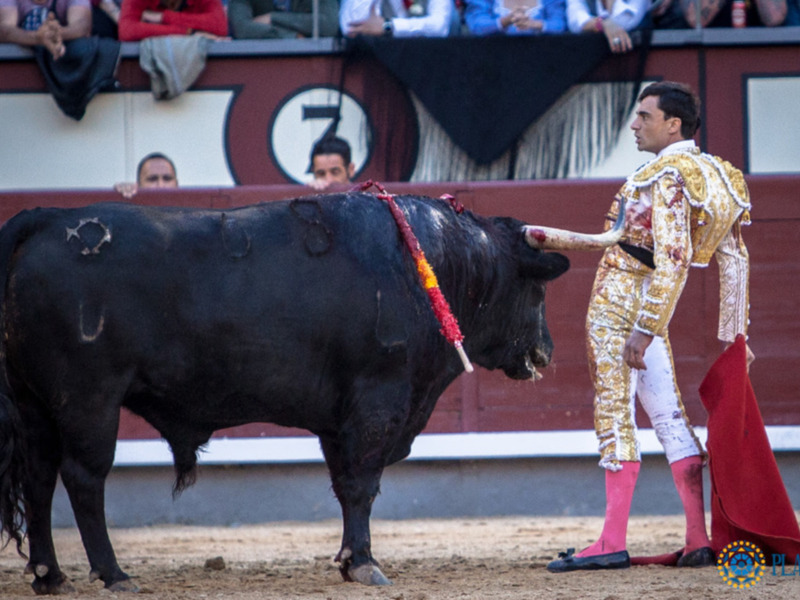 Ureña reaparecerá este domingo en Las Ventas con la de Victorino