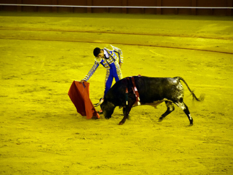 Kevin de Luis, dolor y triunfo en la nocturna en la maestranza.