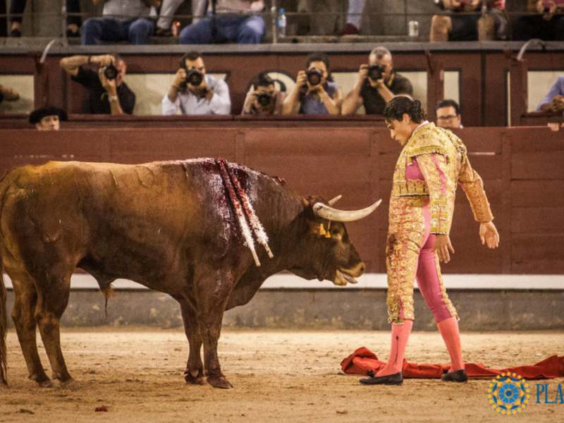 David Salvador y El Galo han saludado una ovación en la última novillada clasificatoria del Certamen de Nocturnas de Promoción.