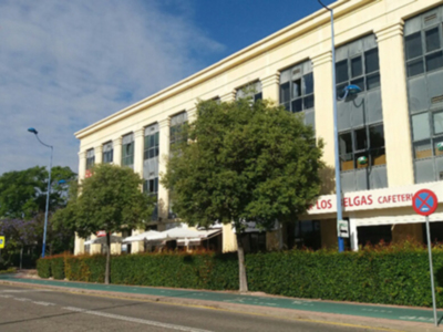 El Almez es una opción a tener muy en cuenta a la hora de hacer nuevas plantaciones de arbolado en la vía pública.