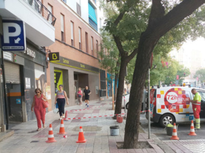 Servicio "72h REUR" un desconocido para los ciudadanos.