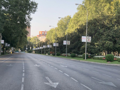 22 de Septiembre Día Mundial Sin Automóviles (DMSA):