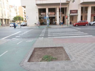 Más de tres años sin palmeras en los alcorques de República Argentina