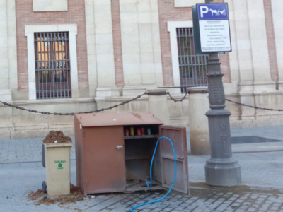 Los excrementos de caballo un problema de higiene que urge solucionar.