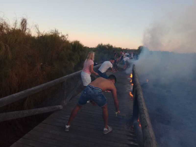 Isabel Jurado agradece el masivo apoyo en el día de ayer ante el incendio que arrasó el Cordón Dunar y el Centro El Camaleón