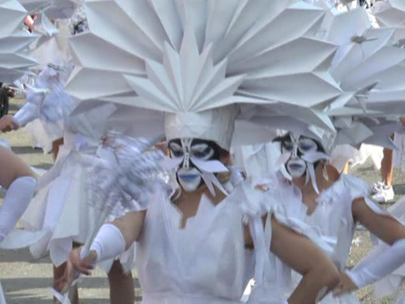 Fiestas recibió una subvención de 8000 euros de Diputación para el pasado carnaval