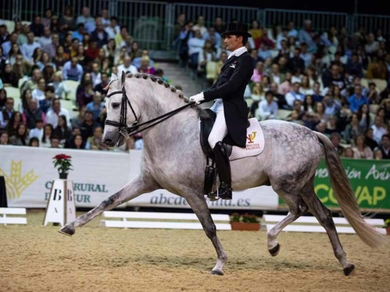 SICAB 2018 cierra sus puertas tras una exitosa 28ª edición