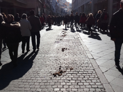 Los excrementos de caballos y perros un problema de higiene y salud pública en algunas calles de Sevilla.