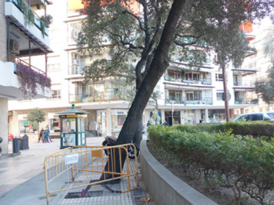 El micro chip que puede evitar accidentes provocados por la caída de árboles y ramas