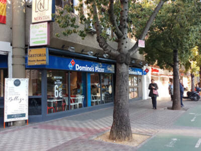 Vandalismo en los árboles de Sevilla