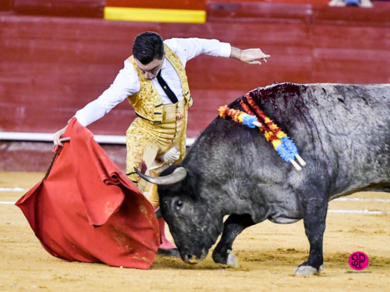 Heroica presentación en Valencia de Octavio Chacón que corta una oreja