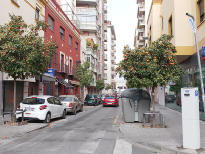 El naranjo amargo es una especie invasora ?