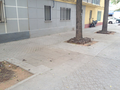 Casi el 50% de las calles del barrio de Los Remedios, presentan excrementos caninos en acerados.