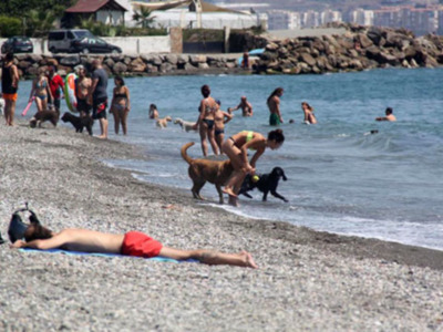 “La playa canina de Torre del Mar, pionera en aspirar a la Q de calidad.”