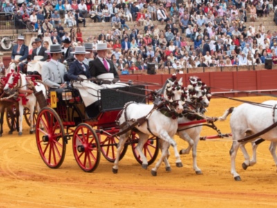 Resultados XXXIV Exhibición Enganches de la Feria de Sevilla