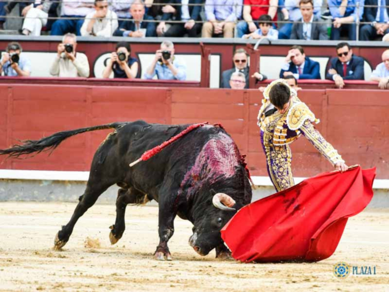 Saludan Galván y Galdós en tarde sin opciones