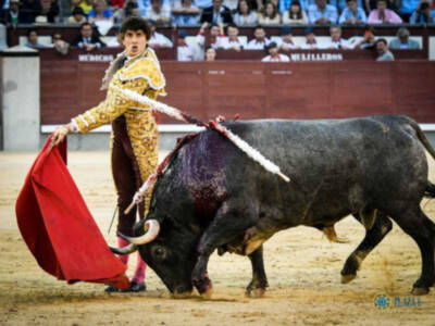 Oreja para un valiente Román y Roca Rey pincha la gran faena del sexto