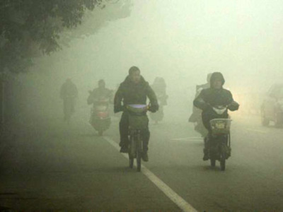 5 de Junio, Día Mundial del Medio Ambiente