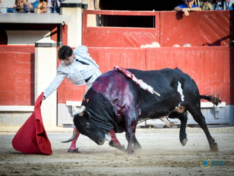 El matador de toros Manuel Escribano ha recibido este mediodía el alta hospitalaria en La Fraternidad de Madrid,